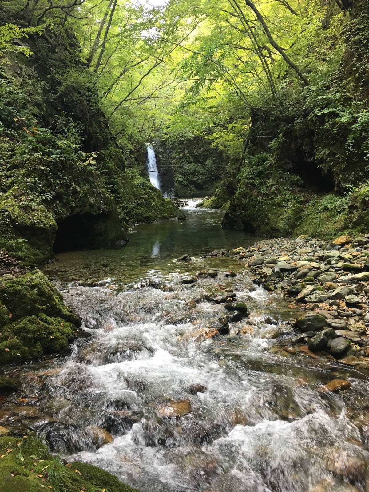 La楽リゾートホテルグリーングリーン 施設詳細