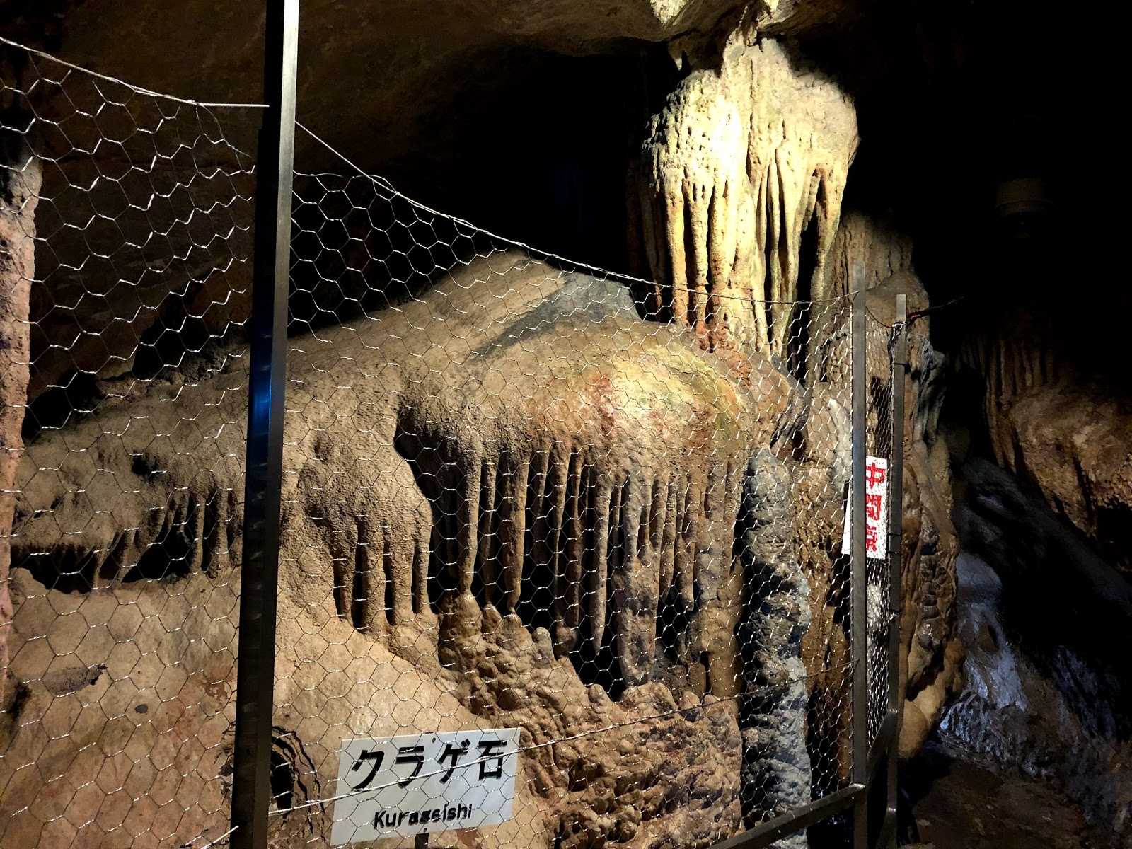 龍河洞珍鳥センター 施設詳細