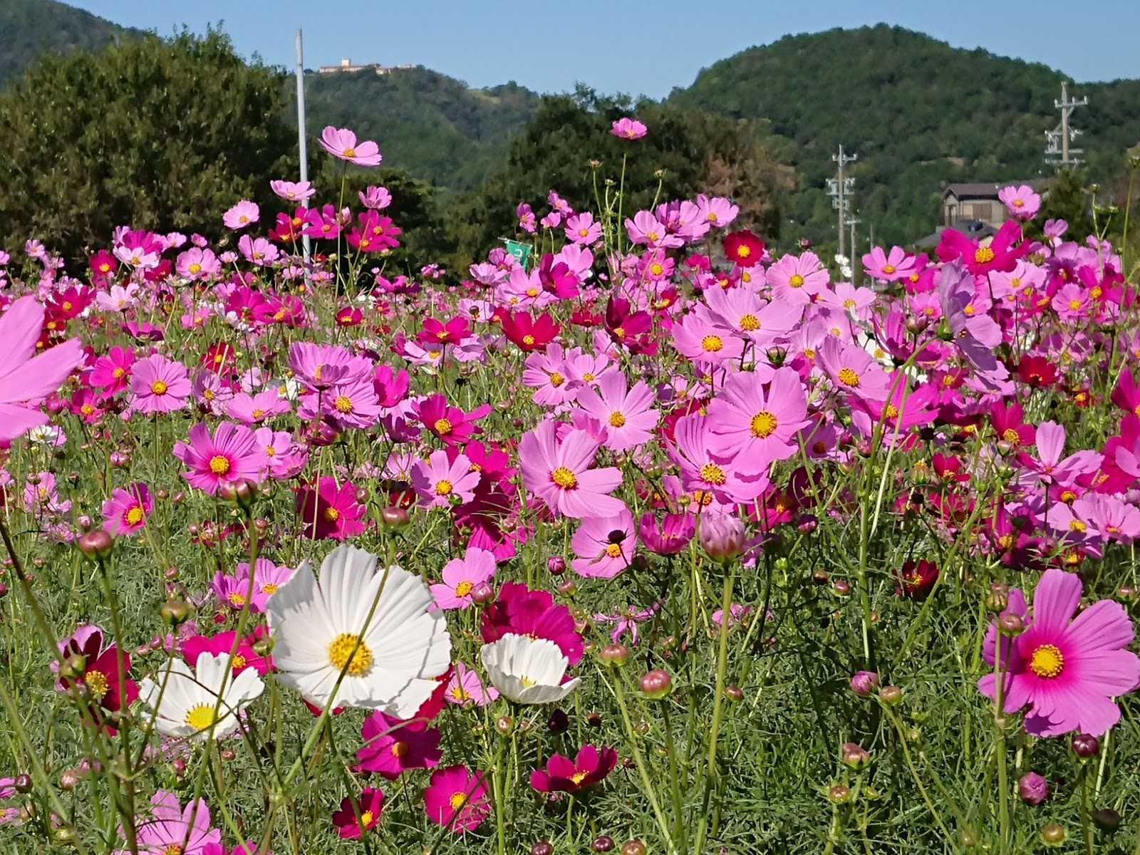 Koti Beauty コティ 施設詳細