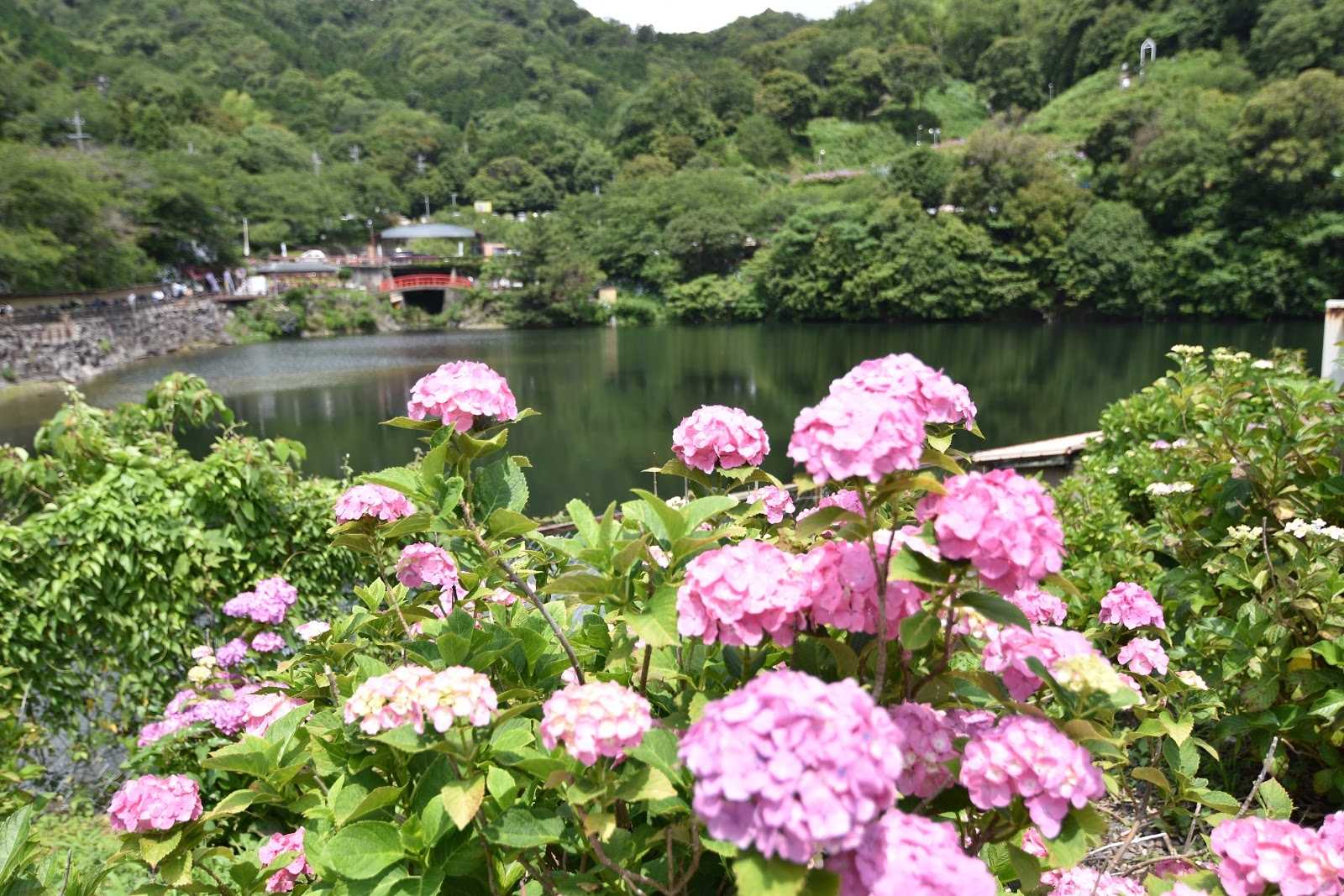 形原温泉 あじさいの里の周辺観光情報 Staynavi