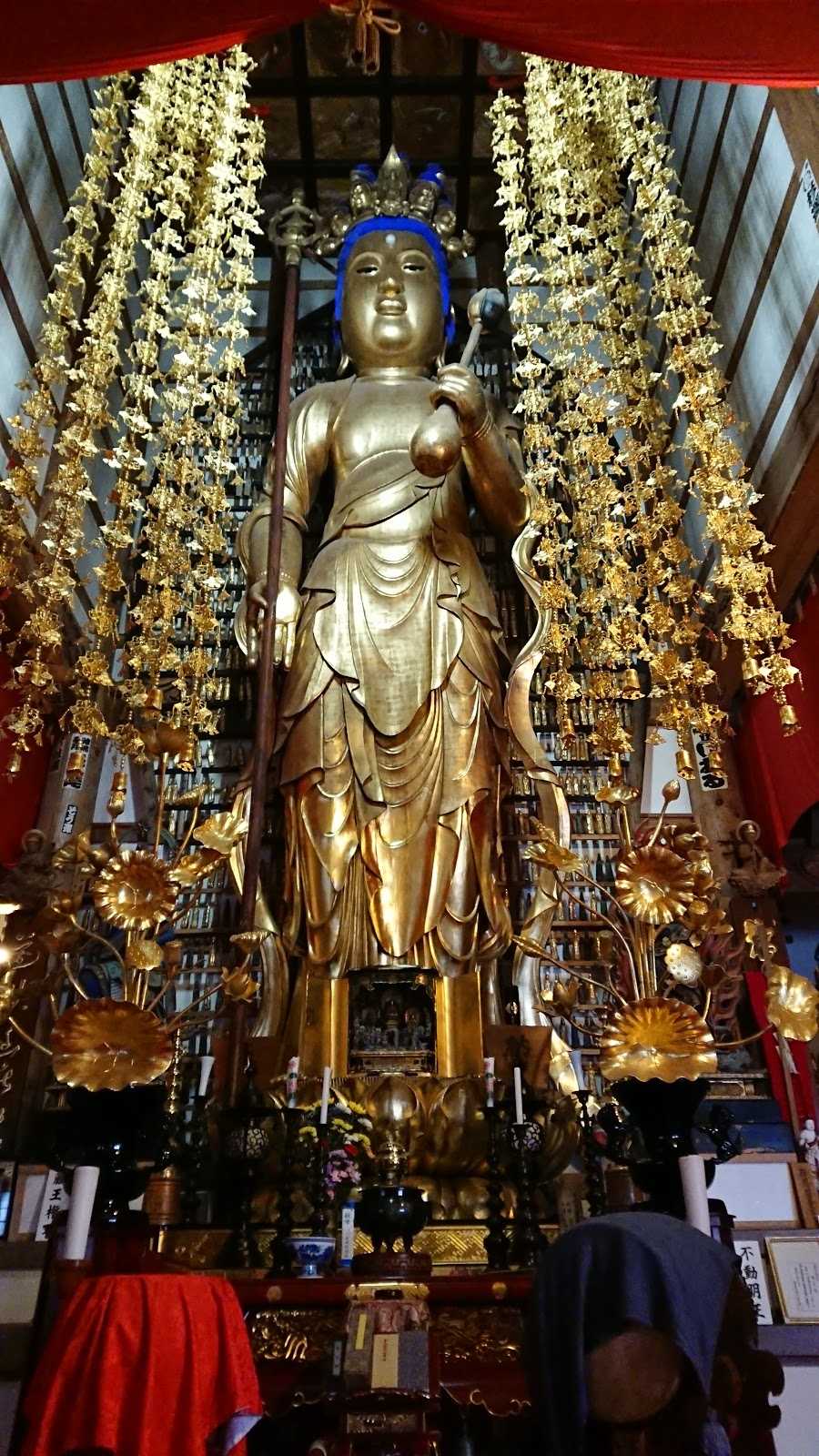 長谷寺の周辺観光情報 STAYNAVI