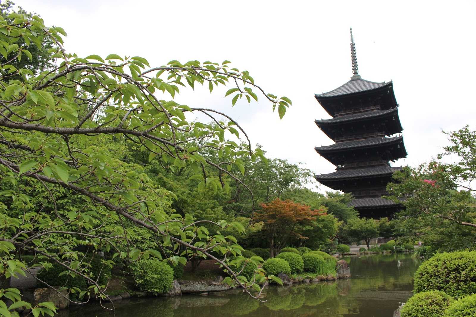 東寺 五重塔の周辺観光情報 Staynavi