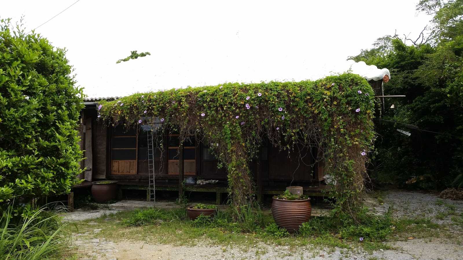 花ぬ元 辺名地の宿のお得な宿泊予約キャンペーンやクーポン Staynavi