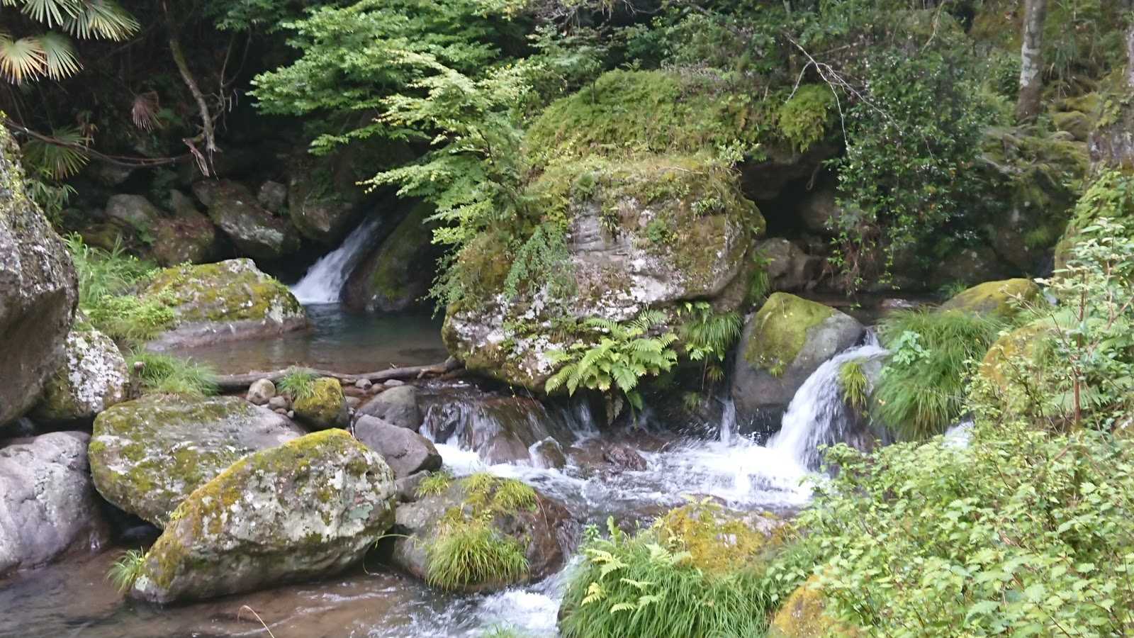 のんびり茶屋 施設詳細
