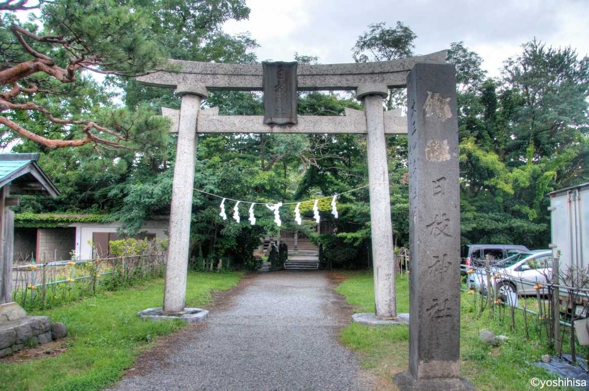 ｂａｎａｎａｆｉｓｈ 施設詳細