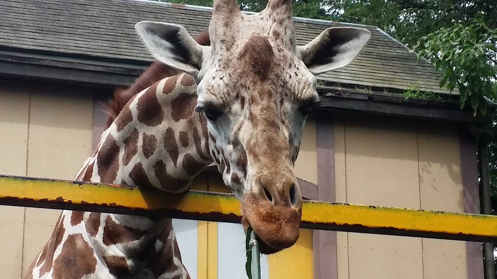しゃぶ葉 羽村店 施設詳細