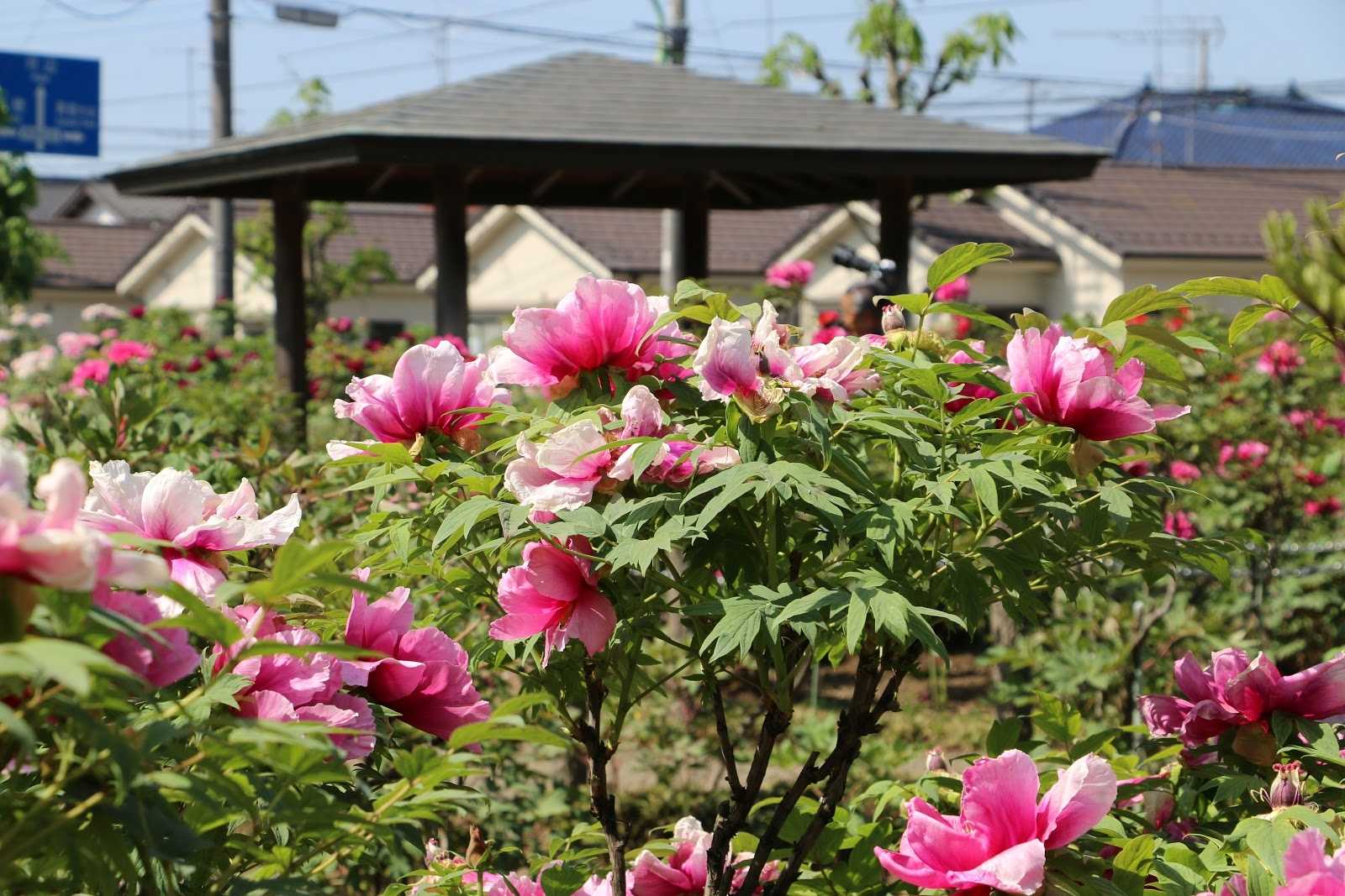 焼肉きんぐ 羽村店 施設詳細