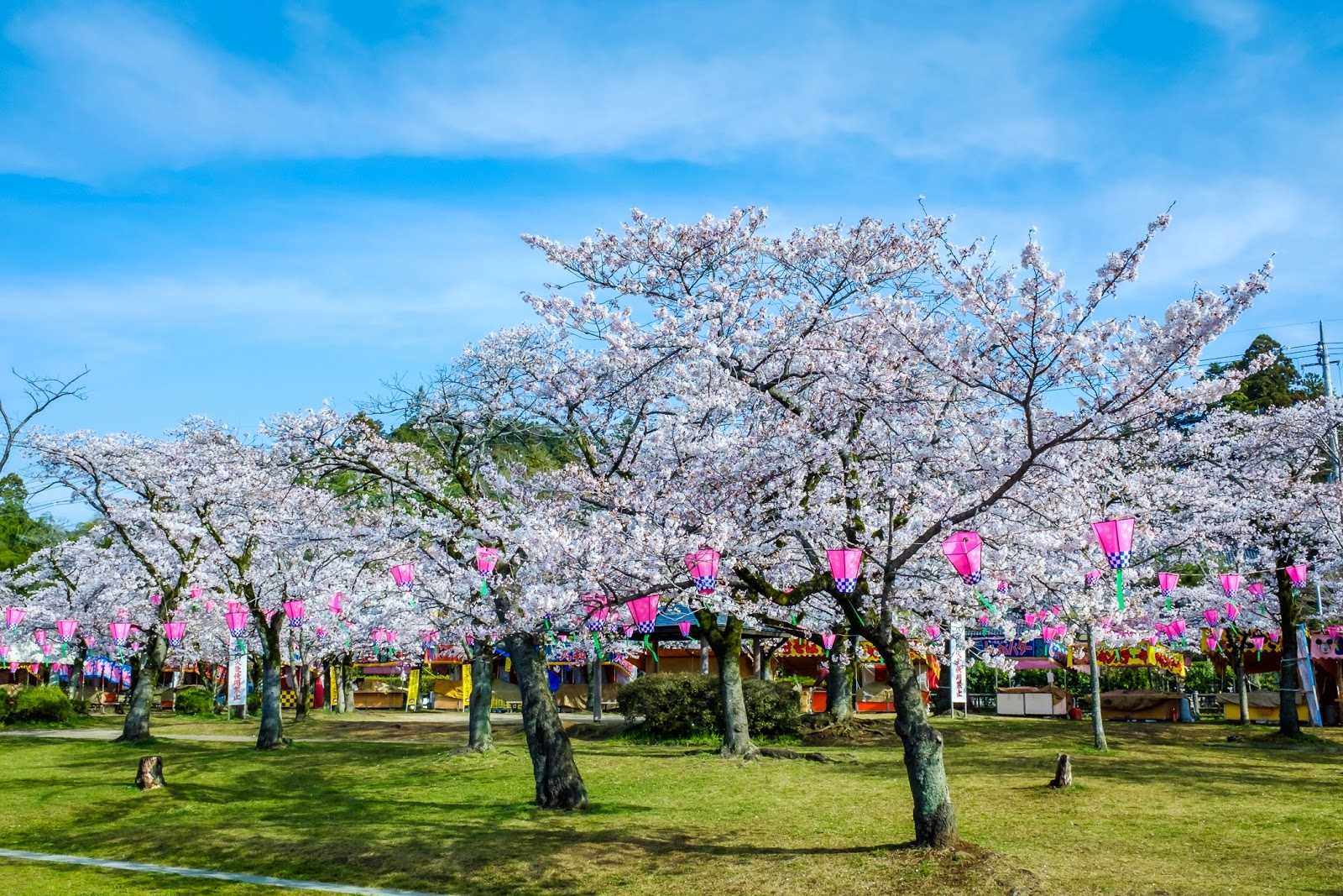 飯能市中央公園 施設詳細