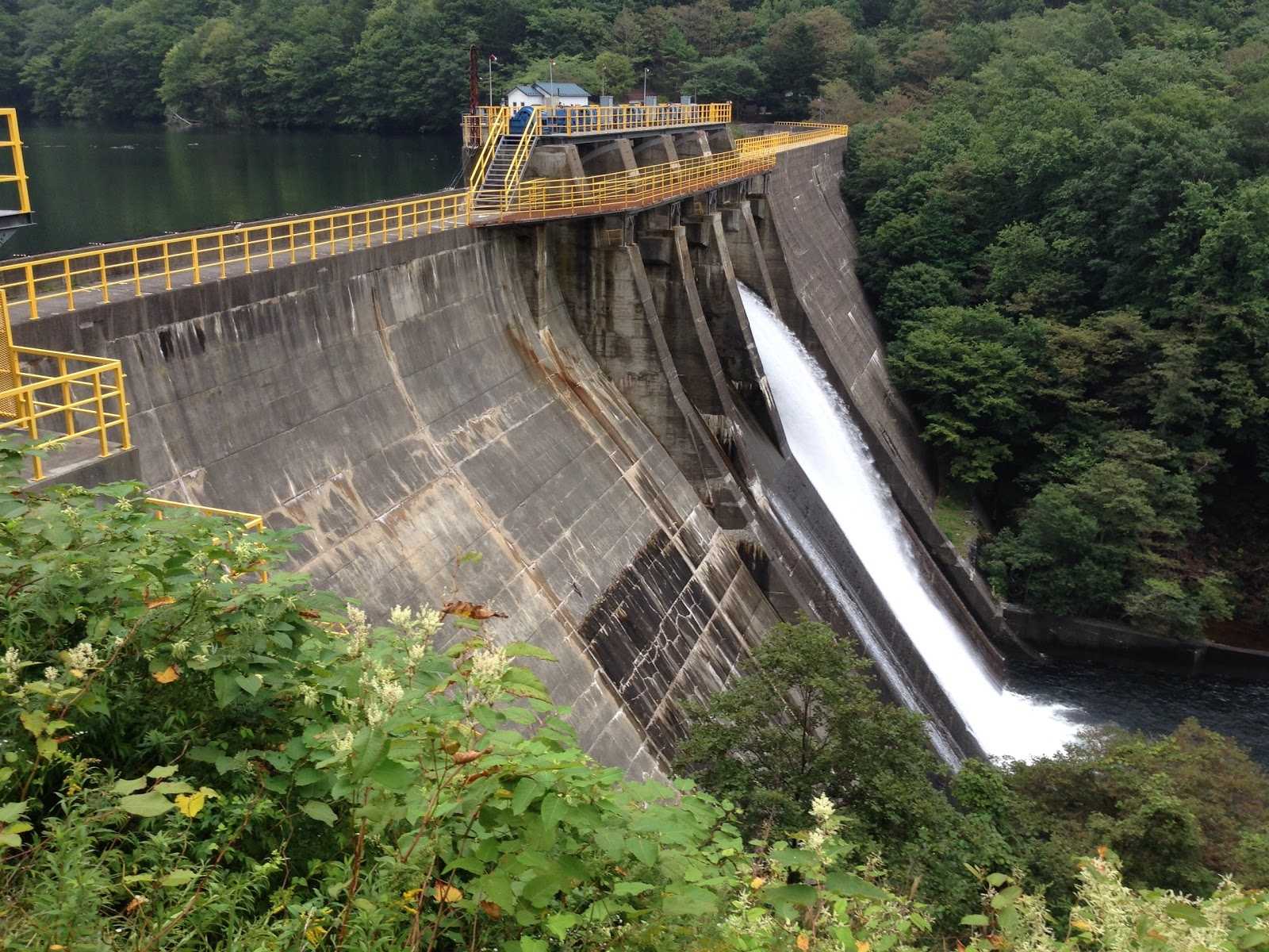 幌満川第3ダムの周辺観光情報 STAYNAVI