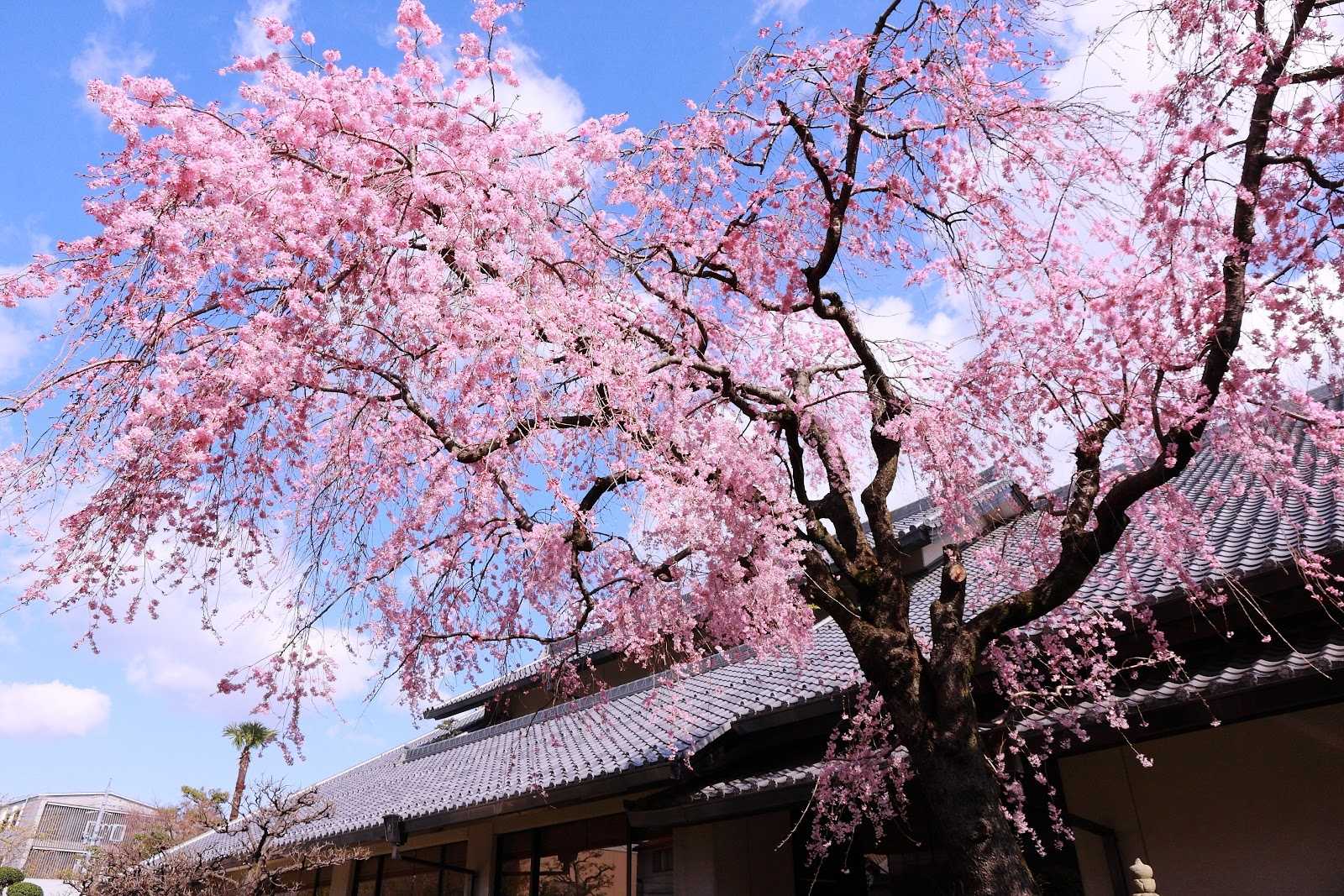大垣市郷土館 施設詳細