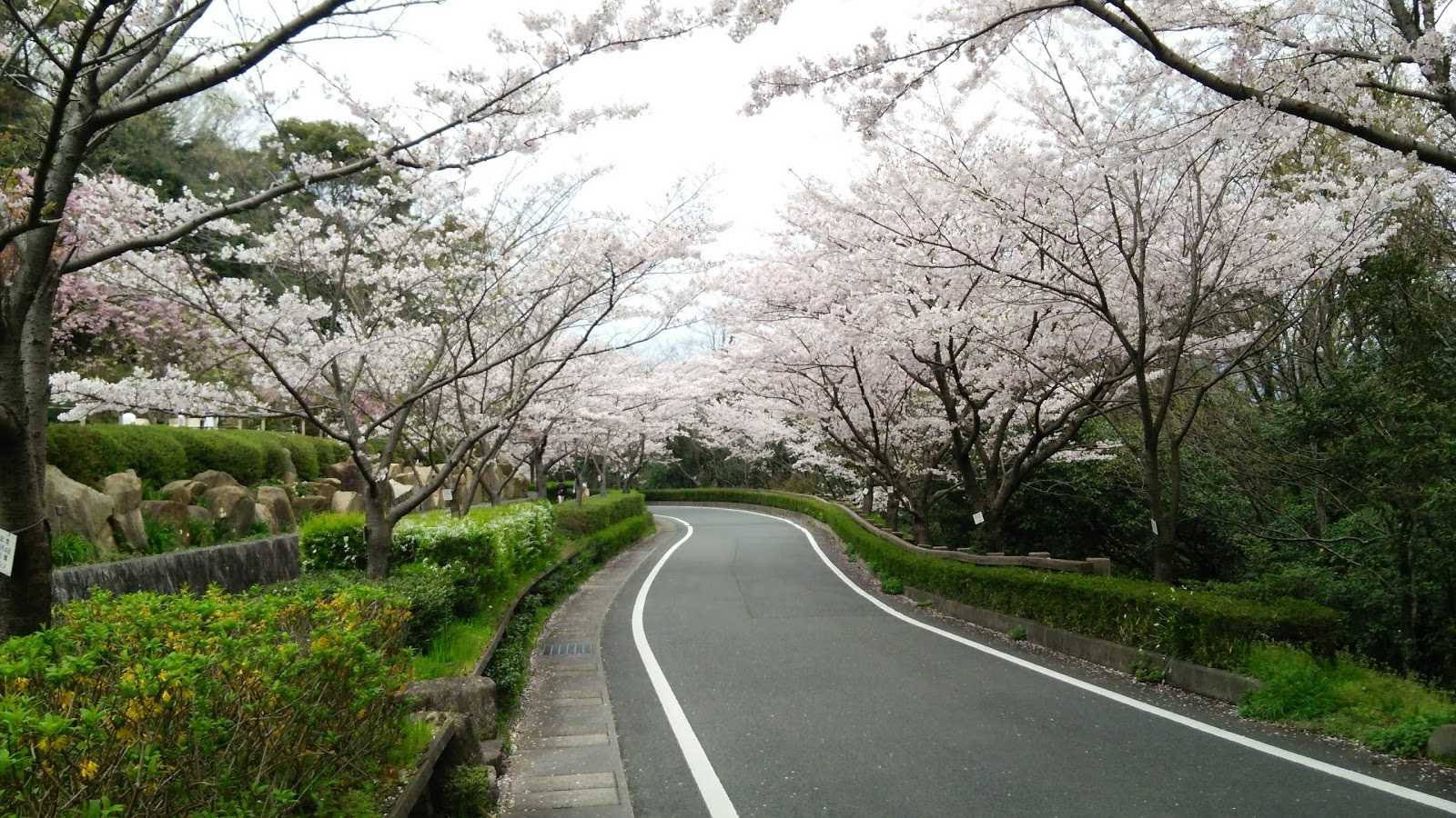 桑山公園 施設詳細