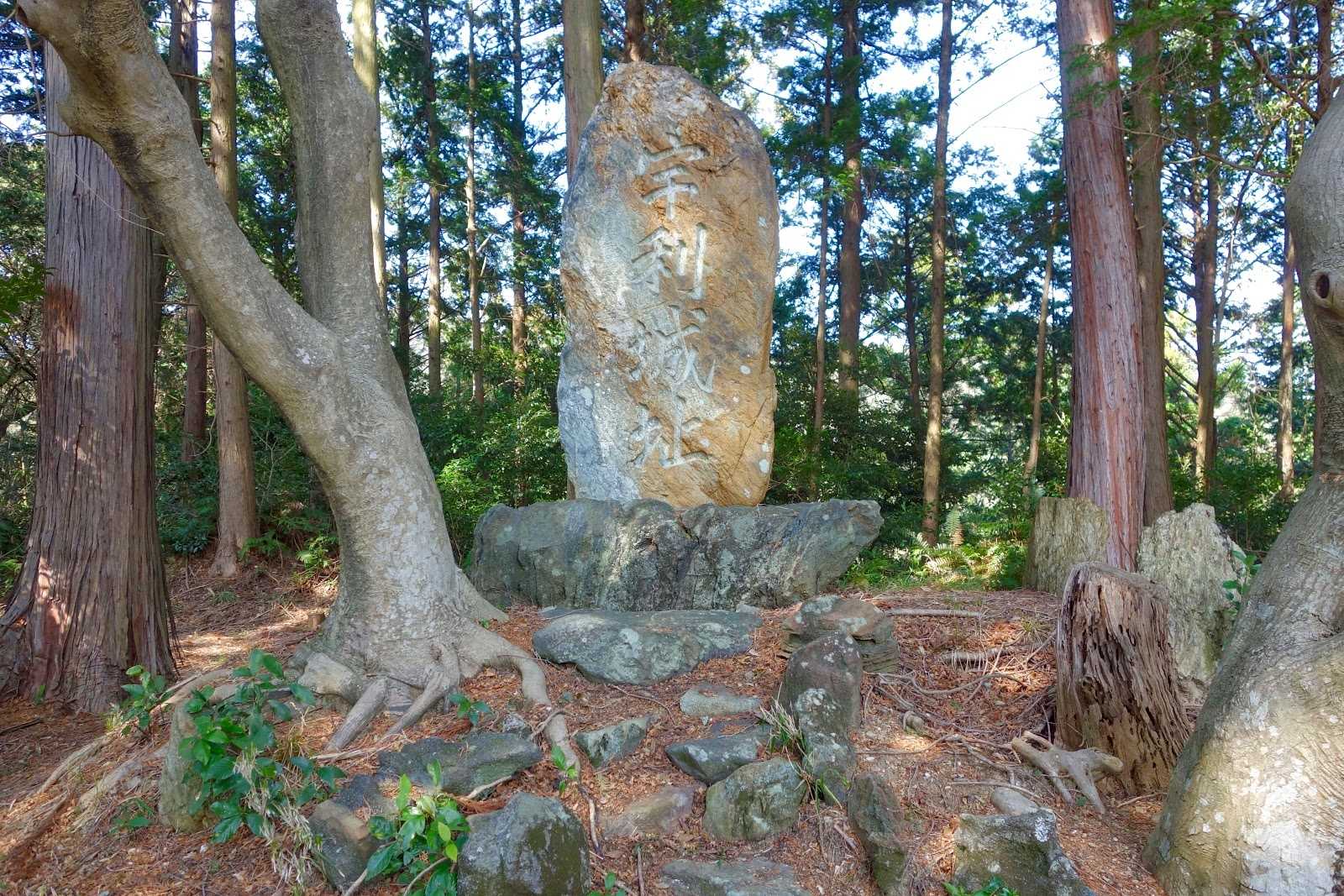 Koti Beauty コティ 施設詳細