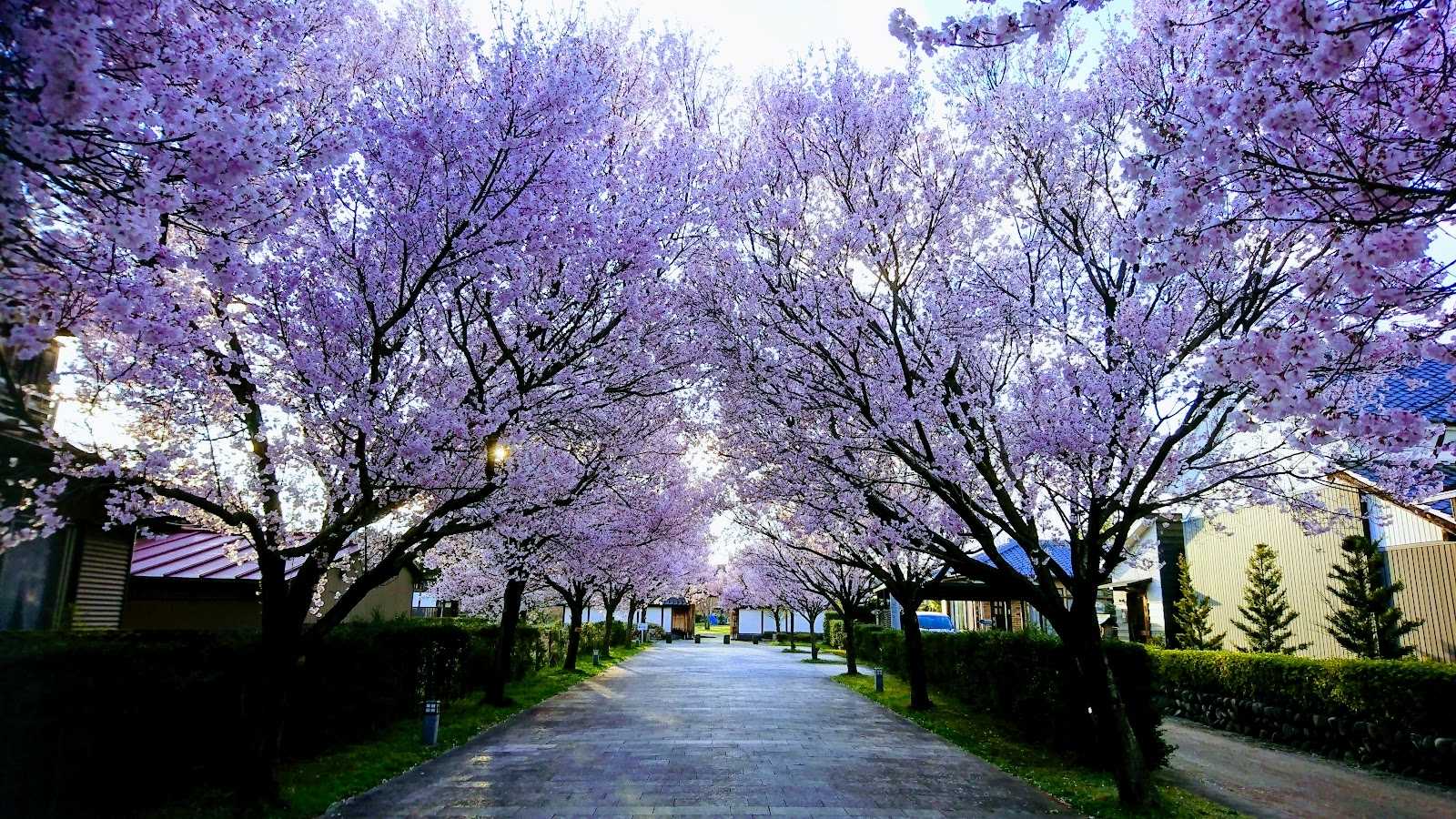 やじろべえ 各務原店 施設詳細