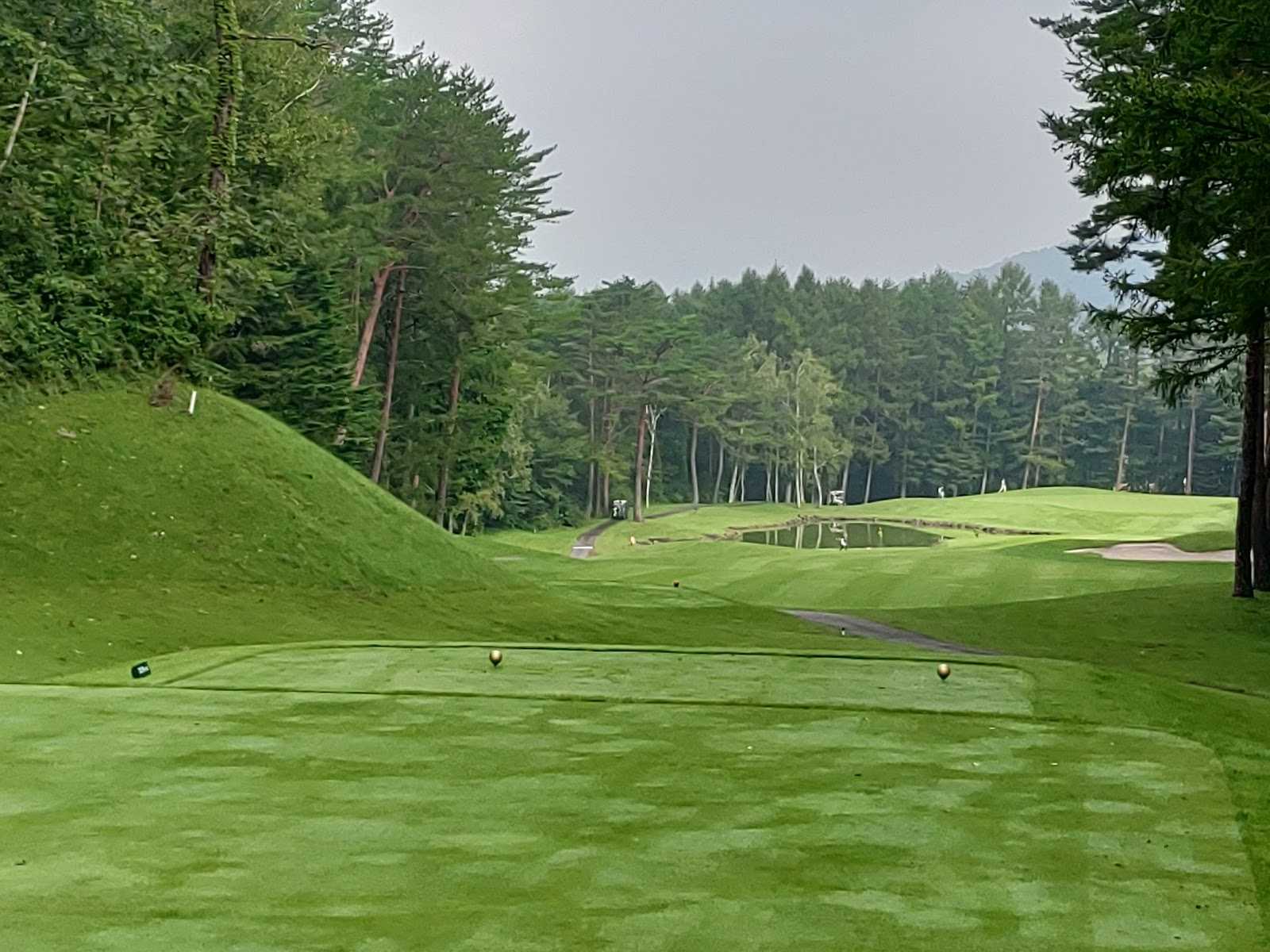 フォレスト鳴沢ゴルフ&カントリークラブの周辺観光情報 STAYNAVI