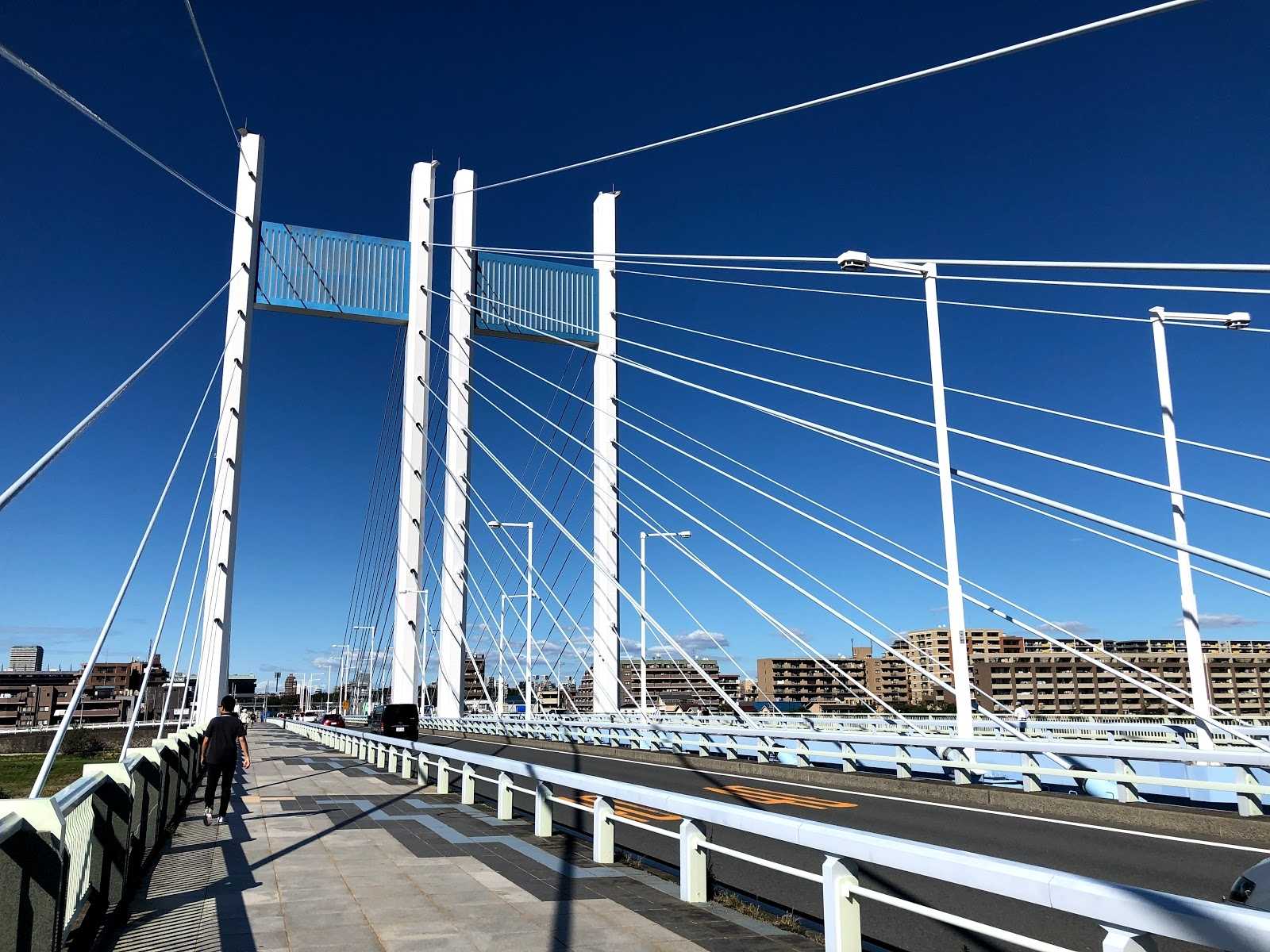 是政橋の周辺観光情報 STAYNAVI