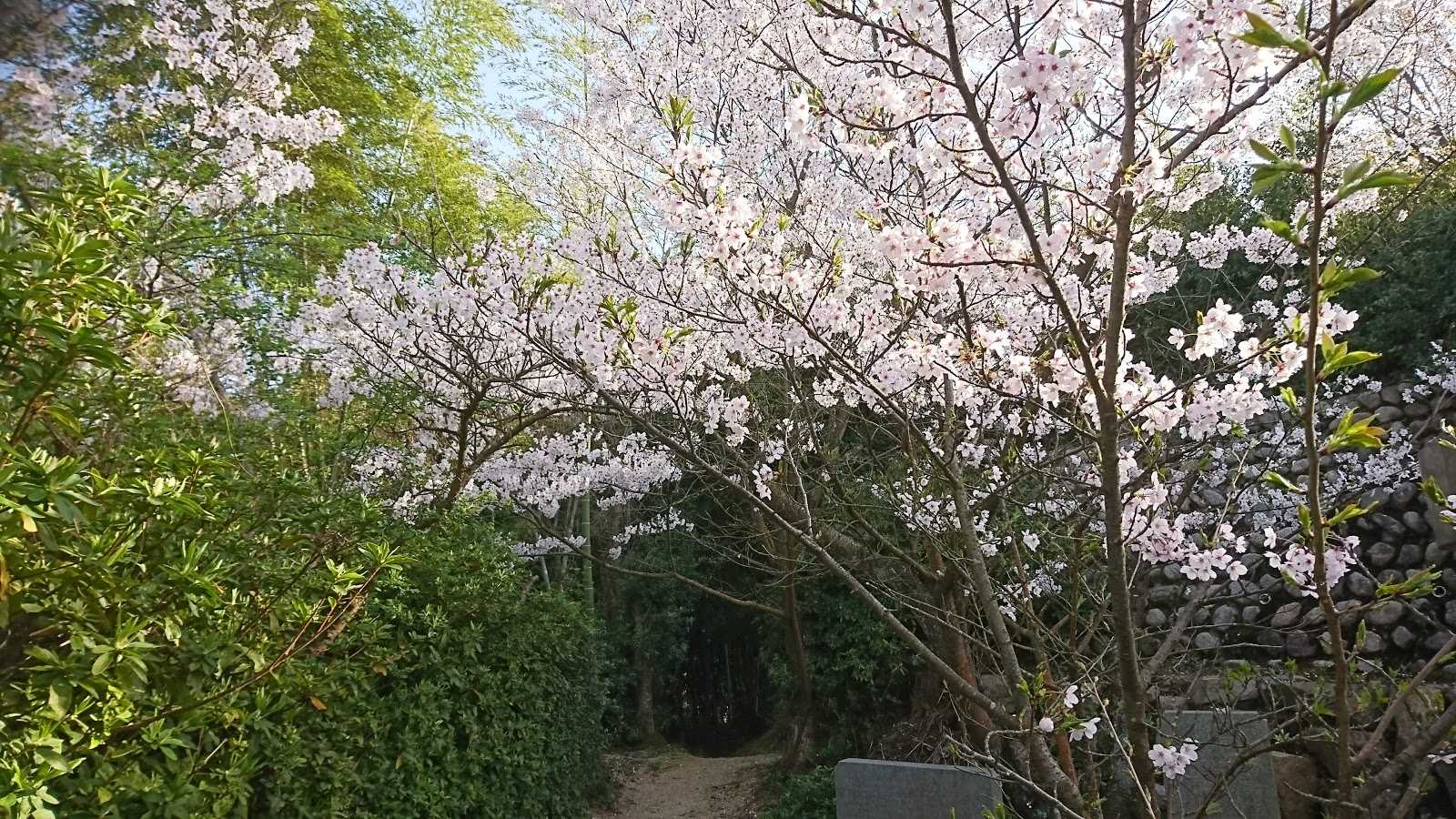 近見山展望台 施設詳細