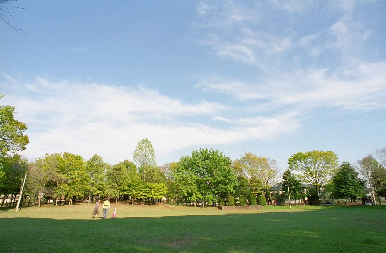 新光中央公園 施設詳細