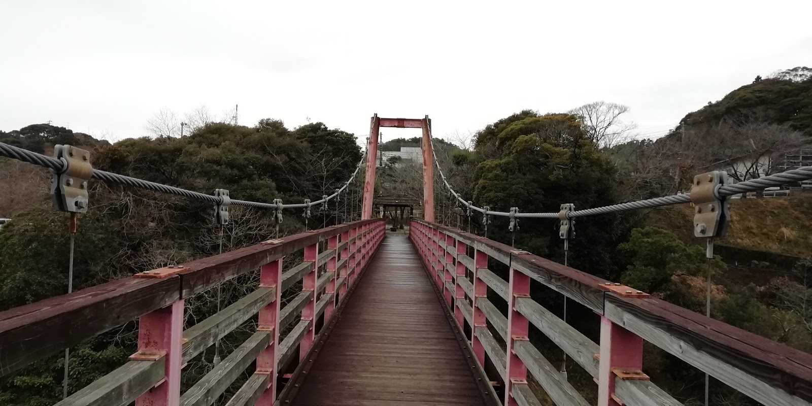 椿公園の周辺観光情報 Staynavi