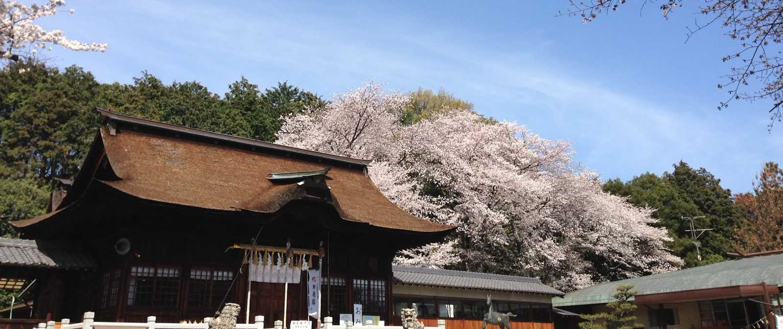 やじろべえ 各務原店 施設詳細