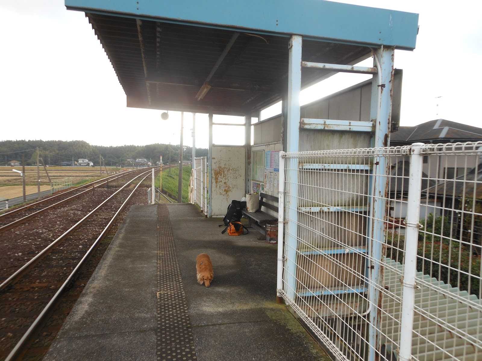 市場駅の周辺観光情報 STAYNAVI
