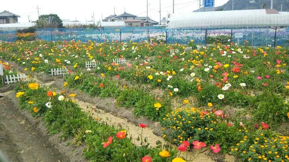 フローラルビレッジ名倉の周辺観光情報 Staynavi