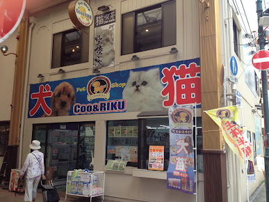 猫カフェ 猫喫茶 空陸家 長崎浜町店の周辺観光情報 Staynavi