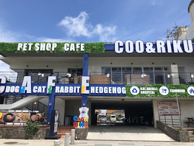猫カフェ 猫喫茶 空陸家 江ノ島店の周辺観光情報 Staynavi 猫カフェ 猫喫茶 空陸家 江ノ島店の周辺観光情報 Staynavi