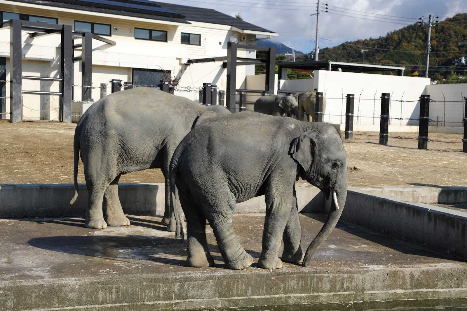 よーじやカフェ 銀閣寺店の周辺観光情報 Staynavi