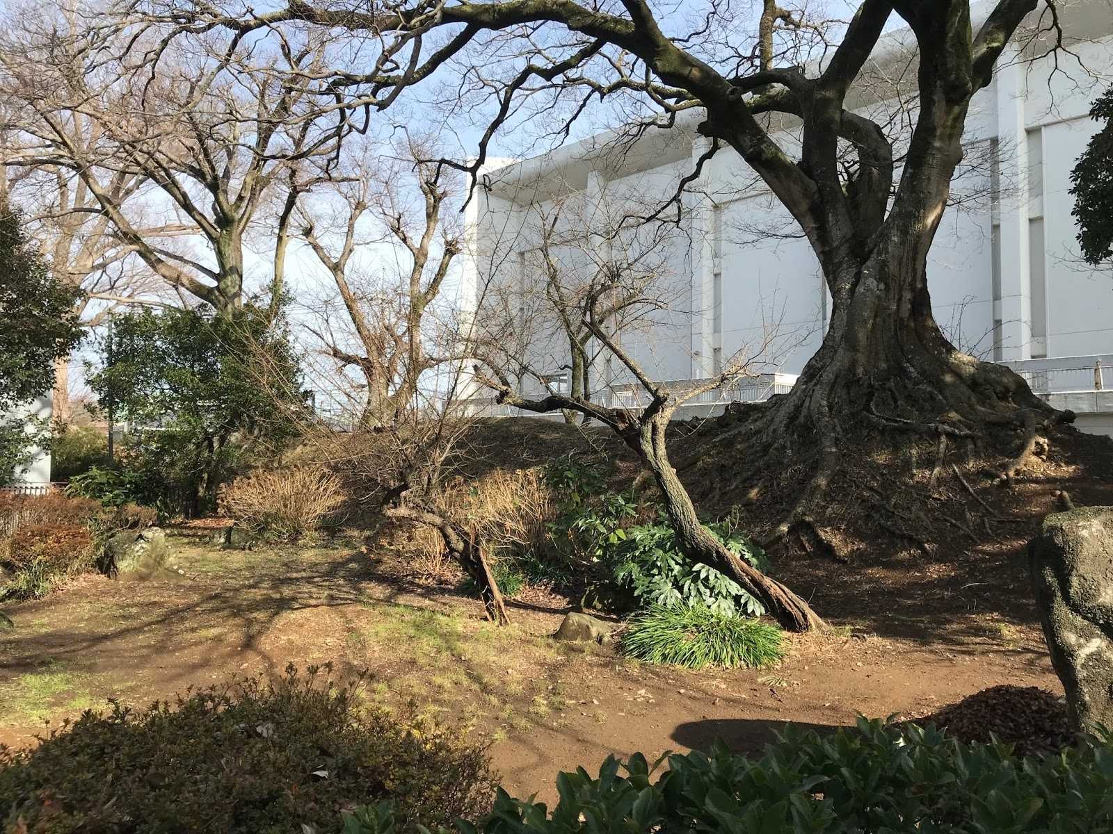 石岡市 ふるさと歴史館｜施設詳細｜