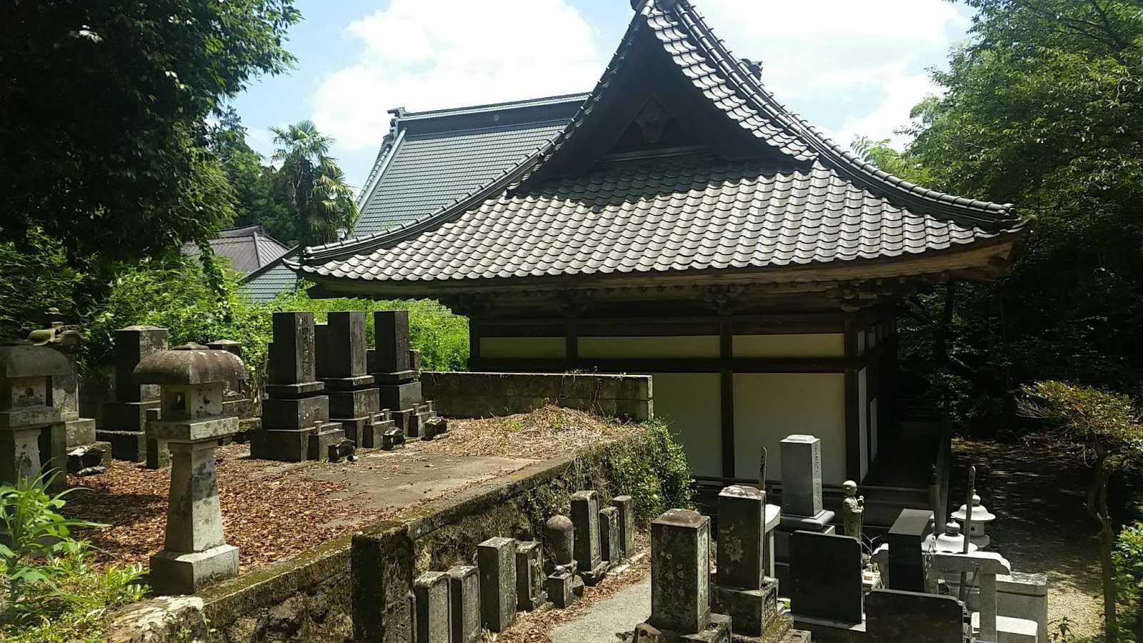 大中寺の周辺観光情報 STAYNAVI