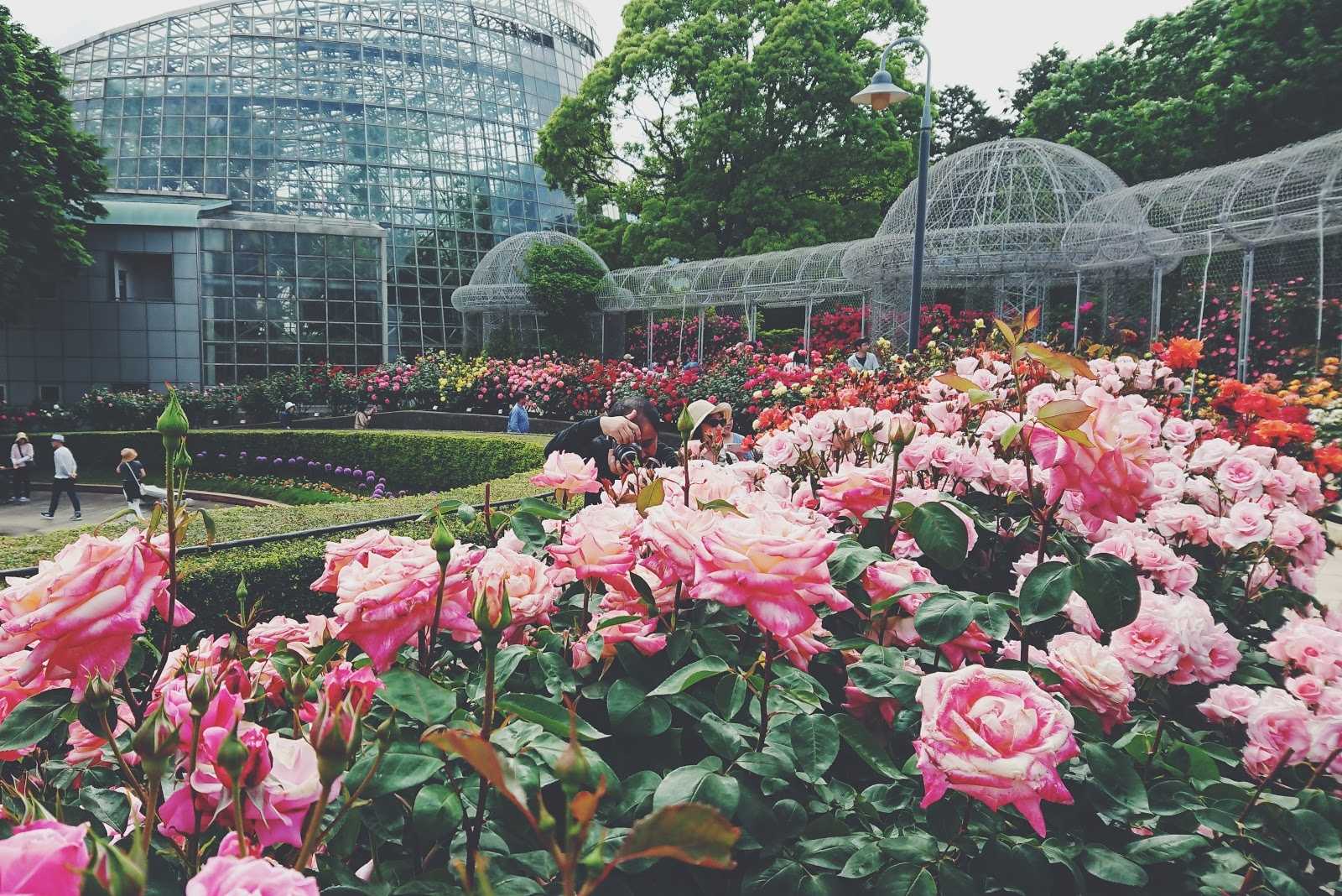 小田原フラワーガーデンの周辺観光情報 Staynavi 小田原フラワーガーデンの周辺観光情報 Staynavi