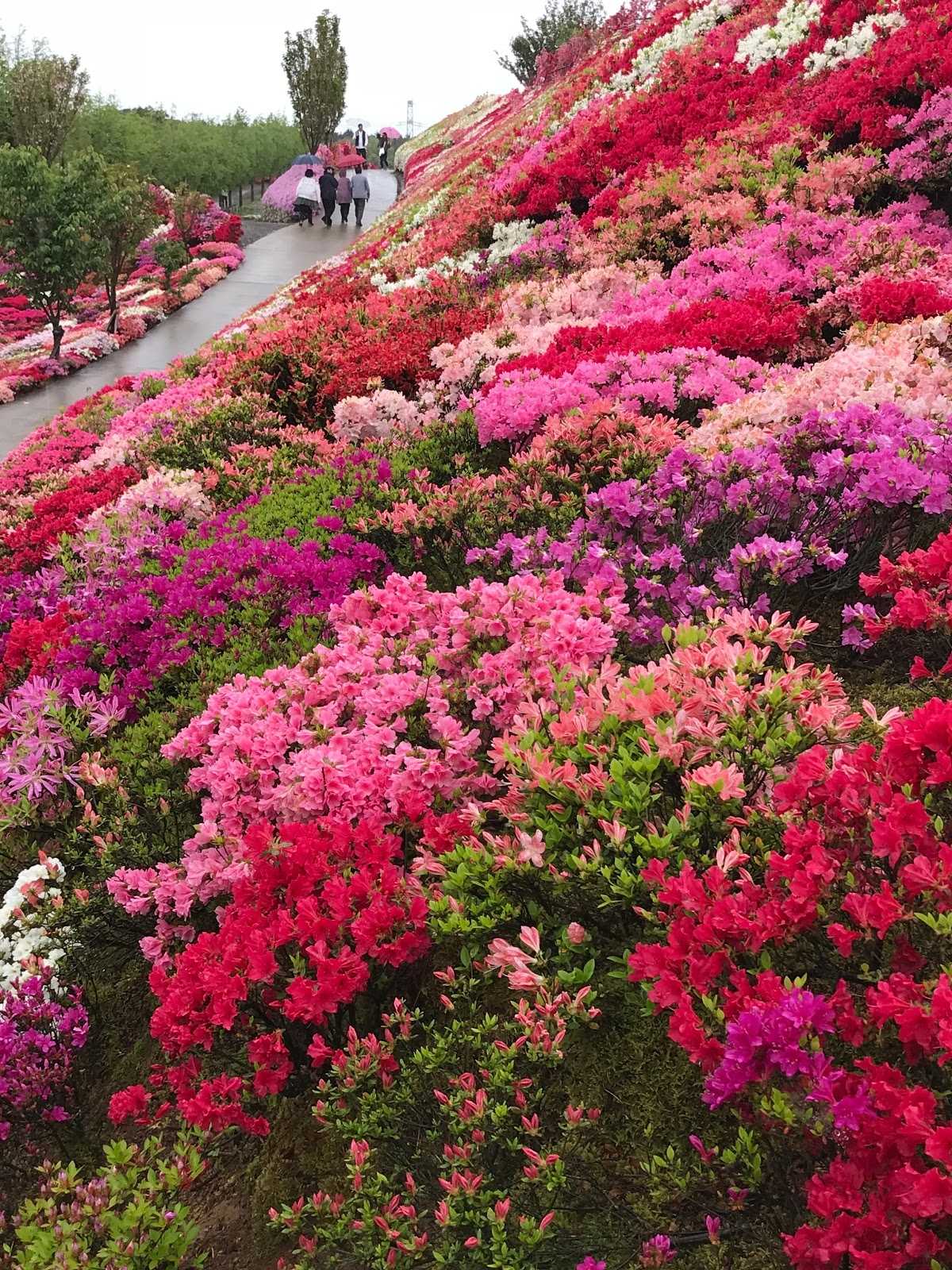 松本ツツジ園 施設詳細