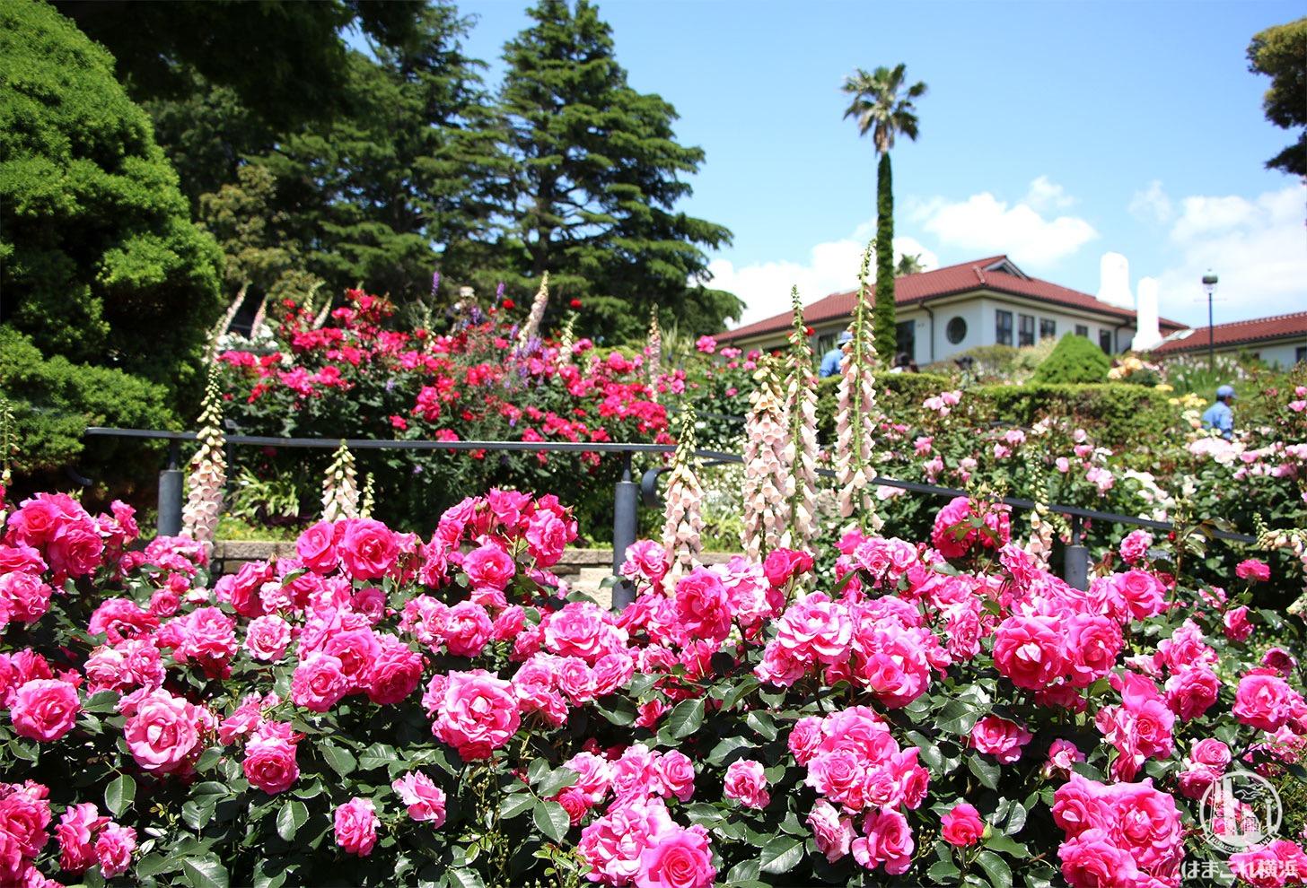 Kkrポートヒル横浜 施設詳細