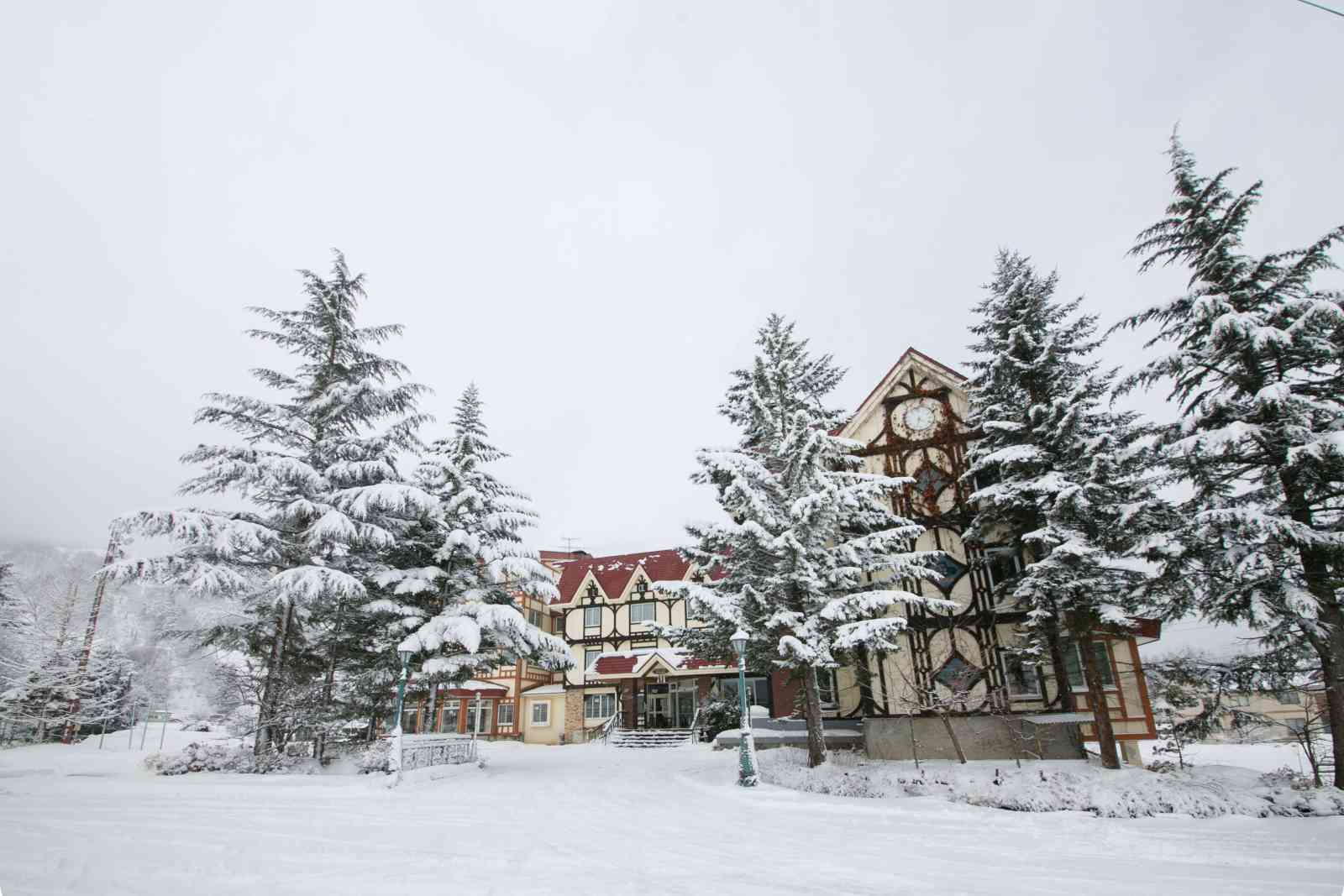 ローゼンハイム白馬のお得な宿泊予約キャンペーンやクーポン Staynavi ローゼンハイム白馬のお得な宿泊予約キャンペーンやクーポン Staynavi