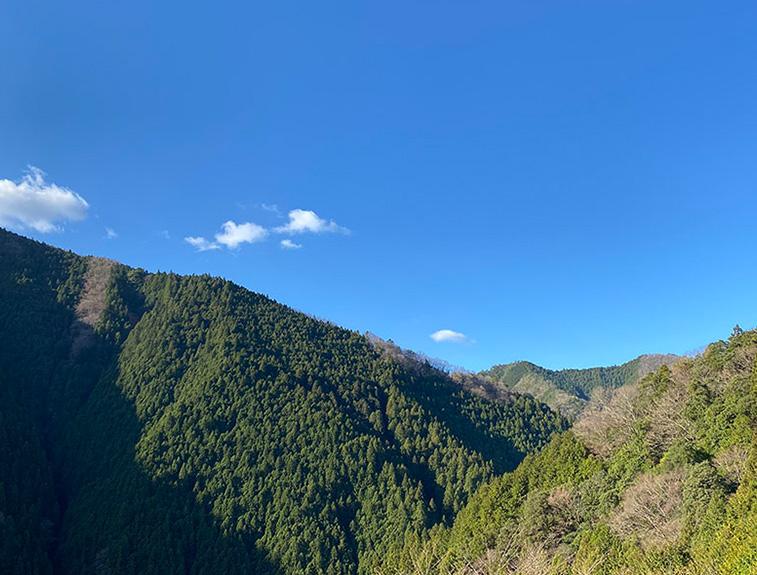 花園グリーンパーク リバーサイドホステルb B のお得な宿泊予約キャンペーンやクーポン Staynavi