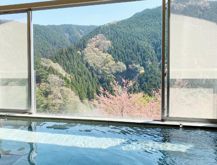 花園グリーンパーク リバーサイドホステルb B のお得な宿泊予約キャンペーンやクーポン Staynavi