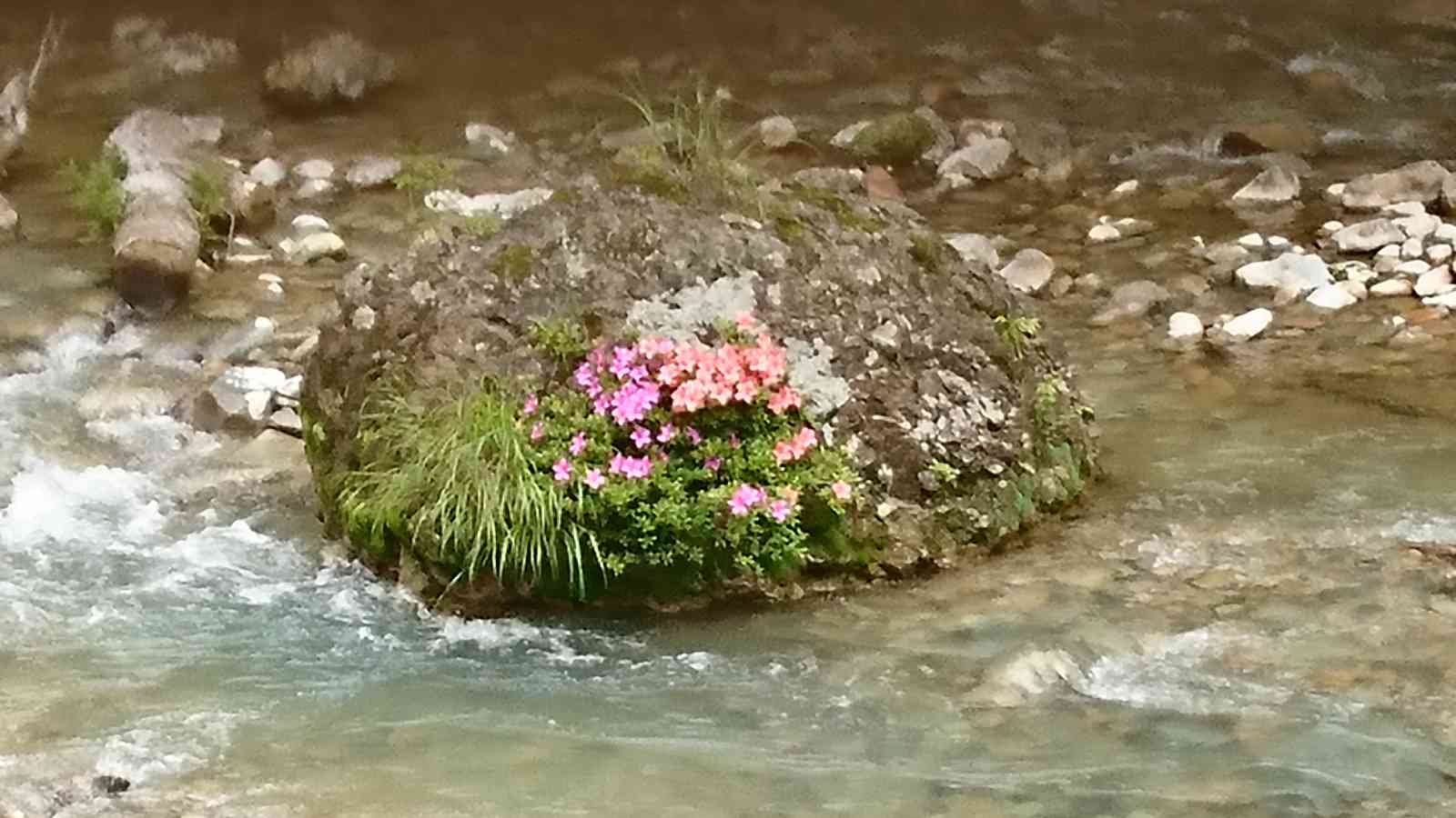 Staynavi 宿泊検索